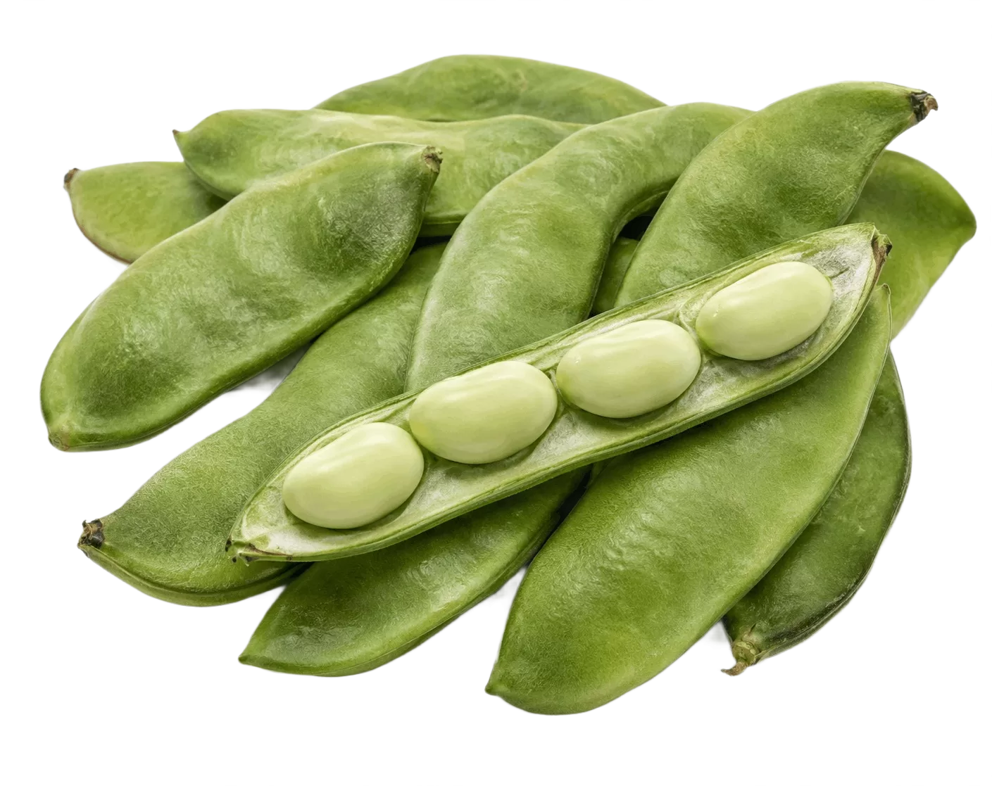 Mochai