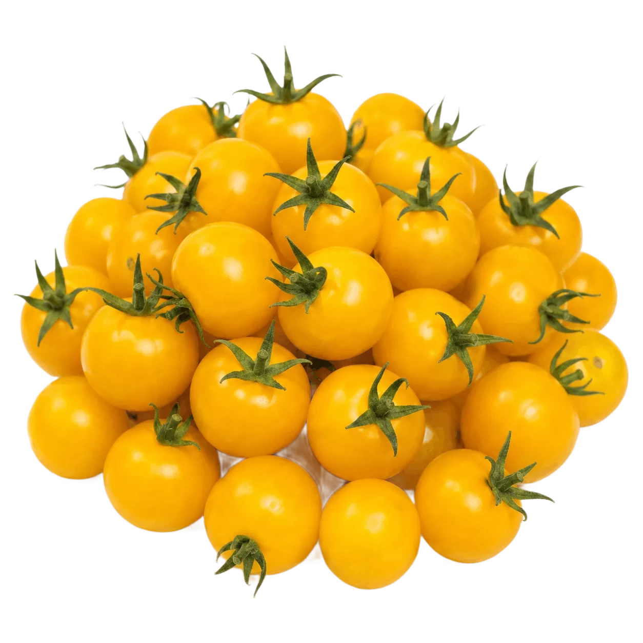 Cherry Tomato Yellow