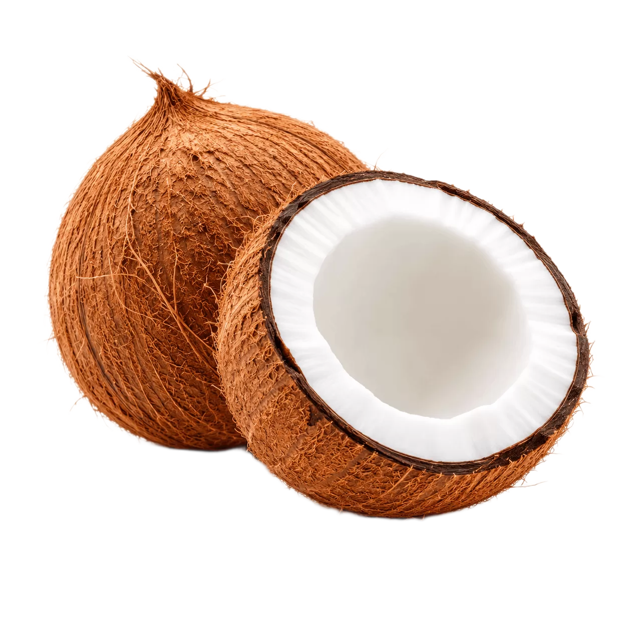 Coconut