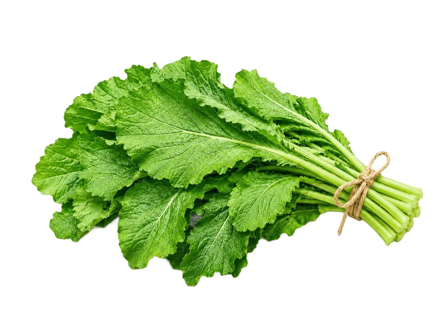Radish Greens