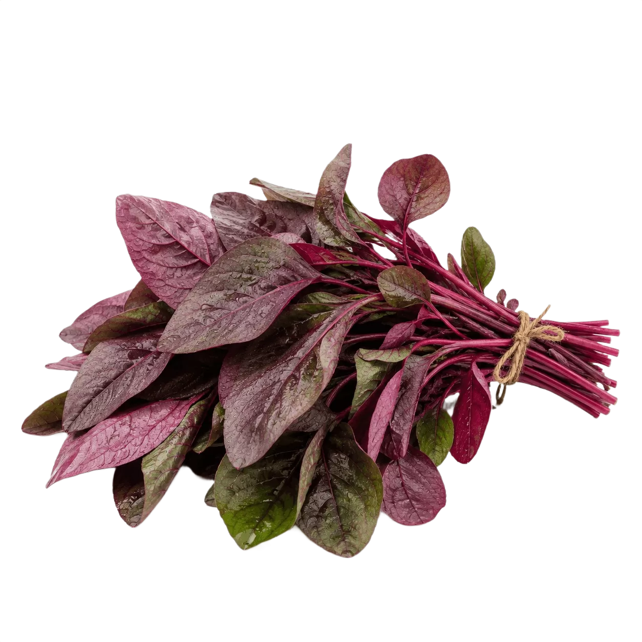 Red Spinach