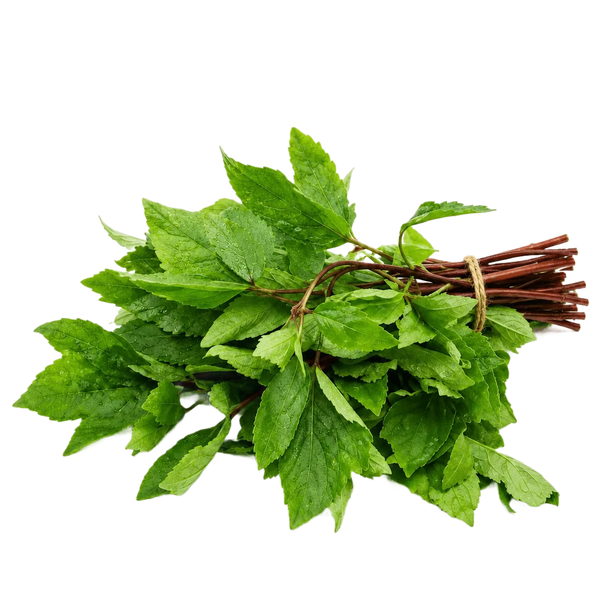 Pulicha KeeraiCleaned