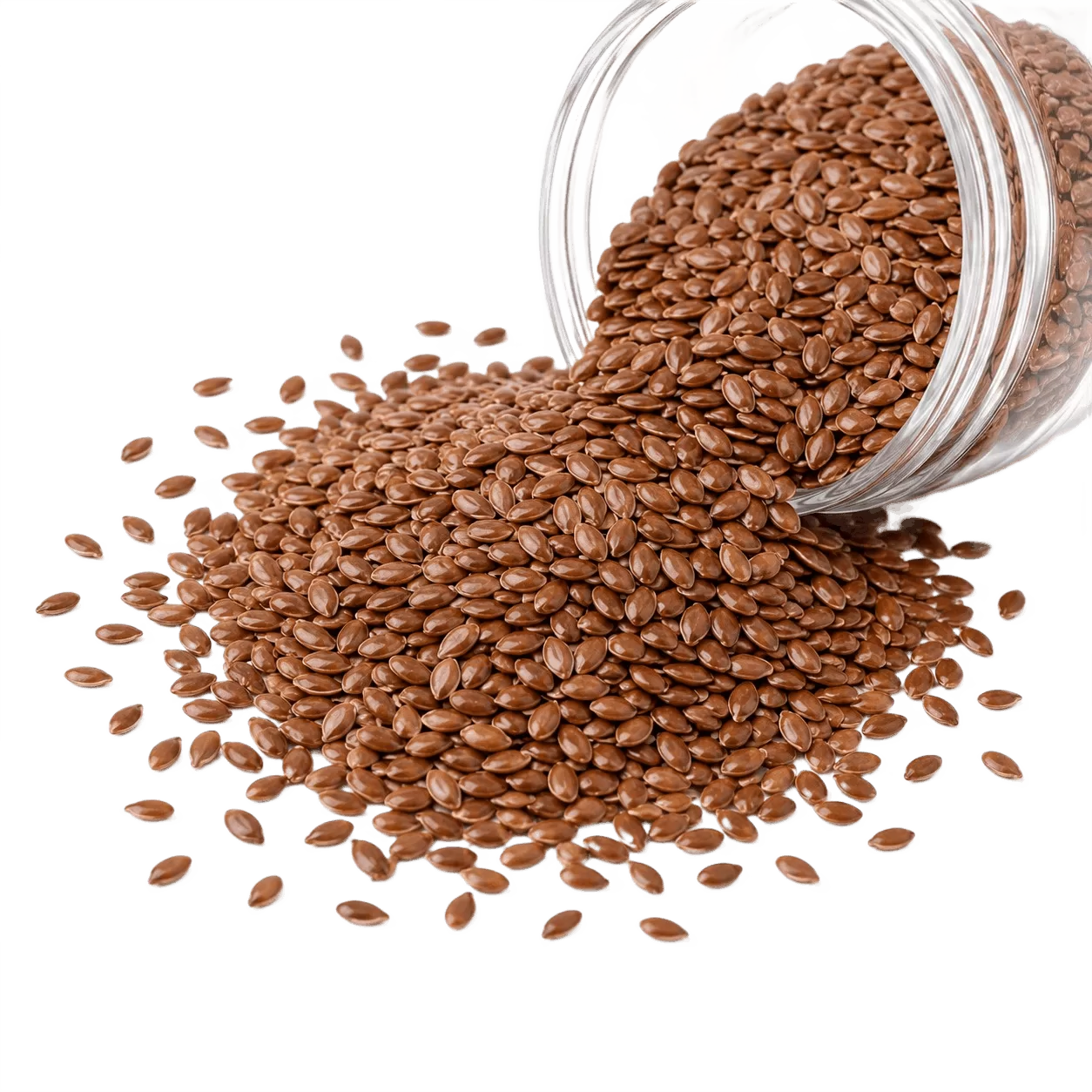 Flax Seed