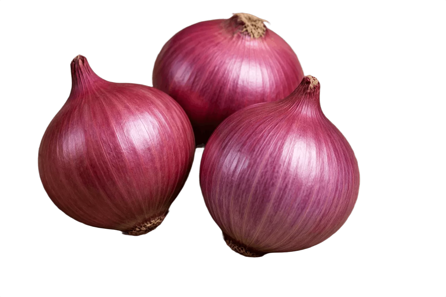 Big Onion