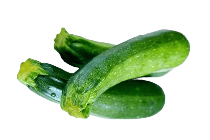 Green Zuccini