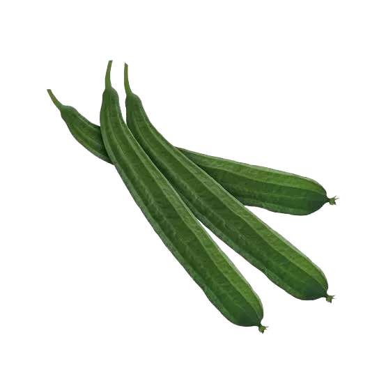 Ridge Gourd